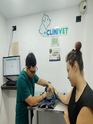 Consulta Médica