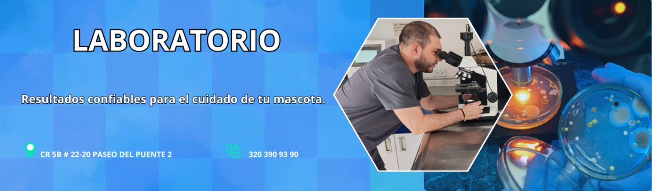 Veterinaria Clinivet